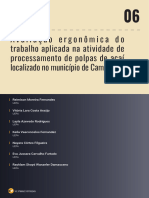 Avaliação Ergonômica Do Trabalho Aplicada Na Atividade de Processamento de Polpas de Açaí - PA