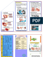 Triptico El Parto