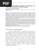 A Perspectiva Sócio-Histórica de Vygotsky e Suas Relações Com A Prática Da Experimentação No Ensino de Química