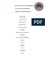 Informe Blanqueamiento