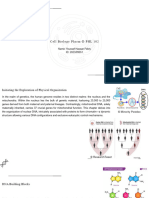 Eukaryotic Genome