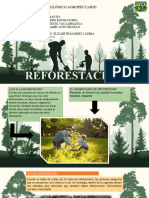 Trabajo de Reforestación