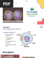 Mitosis