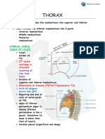 Thorax Anatomy Nextdoor