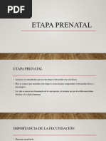 Etapa Prenatal