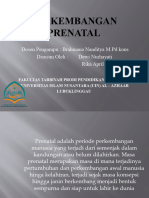 Perkembangan Prenatal