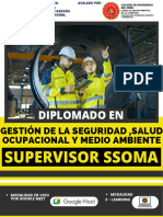 Brochure Diplomado Ssoma