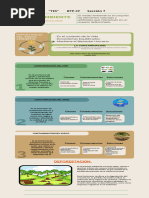 Copia de Infografía Fotosíntesis Plantas Ilustrado Multicolor - PDF 2