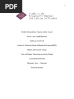 Relación Individual de Trabajo y Sus Características