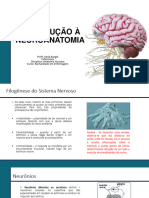 Introdução A Neuroanatomia - 2023.2