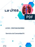 Urea y Creatinina