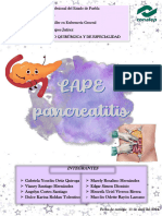 Lape Pancreatitis (Rosy)