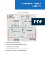 Antimicrobials Mdms Pharmacology Workbook 2024-1