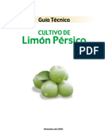 Limon Persa