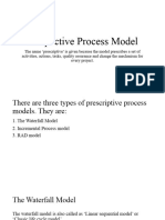 Perspective Process Model