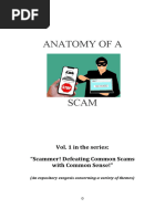 Anatomy of A Scam