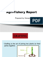 Agri Report