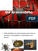 Aracnídeos