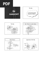 Assessment of The Hip. Student PDF