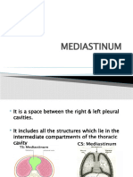 Mediastinum