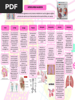 Copia de Gráfica Mapa Conceptual Simple Colorido