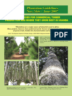 Tree Species For Commercial Timber Production in Uganda