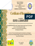 NLC Certificate Puntual