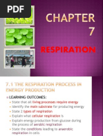 Respiration Chapter 7 Biology Form 4