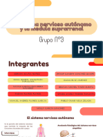 Sistema Nervioso Autonomo PDF