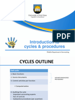 Introduction To Audit Cycles and Procedures