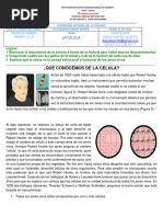 1 Enero 25 - Ciencia Naturales - La Celula