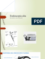 Endoscopia Alta