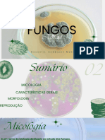 Fungos Compressed