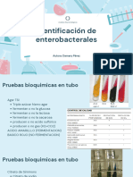 Identificación de Enterobacteriales