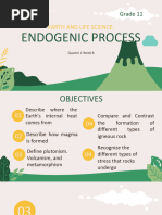 Endogenic Process