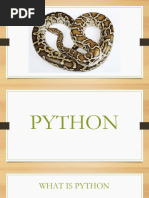 Python PDF