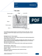 Worksheet 2.2 Skin Hair and Nails