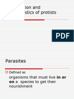 Classification of Protists