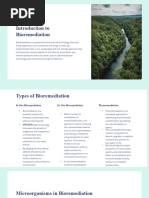 Introduction To Bioremediation