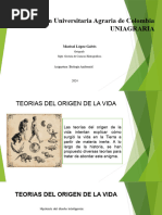 02-Teorias Del Origen de La Vida16 02 2024