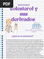 Colesterol y Sus Derivado