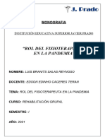 Rol Del Fisioterapeuta en La Pandemia - Luis Salas Reynoso