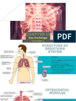 Chapter 11 Gas Exchange