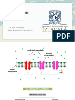 Transporte de Membrana 2021