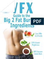 VFX Big 2 Fat Burning