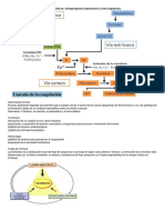 Hemostasia y Trombosis