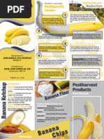 Final Banana Processing - JM