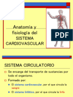 Aparatocardiovascular 210209004020