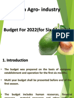 Avocado Budget Presentation of Budget - Ver11 - 25422