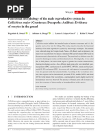 Acta Zoologica - 2017 - Souza - Functional Morphology of The Male Reproductive System in Callichirus Major Crustacea